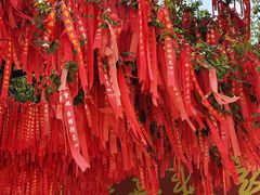 -广州莲花山旅游区