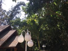 -东姑阿都拉曼海洋公园
