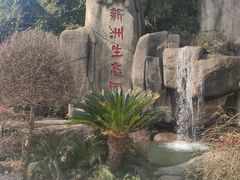 -新洲生态园