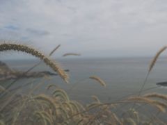 -东极岛景区-青浜岛