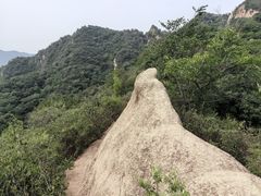 -大岭沟猕猴桃谷风景区