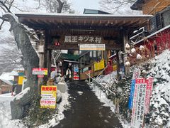 -宫城藏王狐狸村