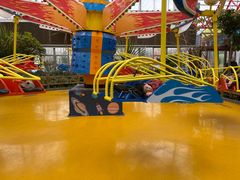 -南宫五洲植物乐园