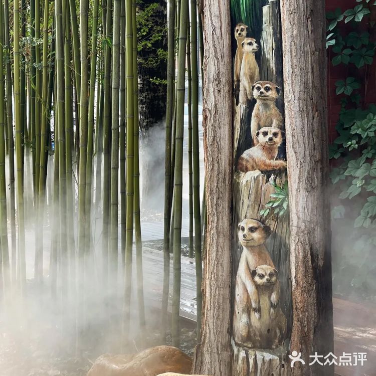 北京新店|来一场仙气☁️飘飘的露营风烧烤⛺️