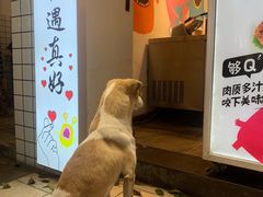 -傅强排骨(成都总店)