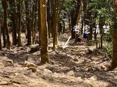 -黄埔油麻山森林公园