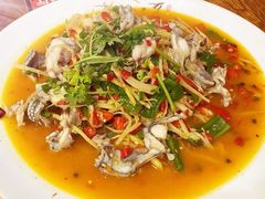 -盐与味葱葱鲫鱼•自贡菜江湖菜(春熙店)