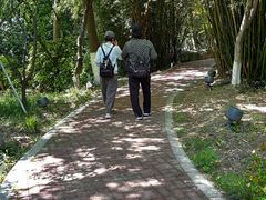 -金鸡湖桃花岛