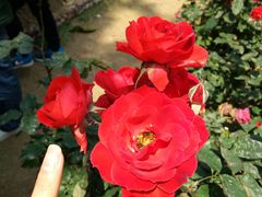 -人民公园(罗湖区)