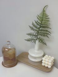 -VE专注问题肌·赛诺龙&科学美肤中心