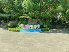 -杭州半山国家森林公园