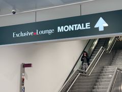 -米兰马尔彭萨国际机场