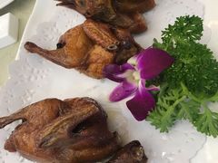 石岐乳鸽-轩记海鲜餐厅·四十五年老字号·经典粤菜(西区彩虹店)