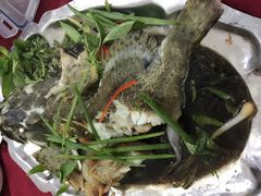-QQ海鲜餐厅
