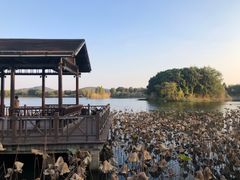 -上海市保健医疗中心