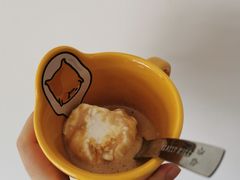 椰子-歎雪糕低糖低脂Gelato冰淇淋