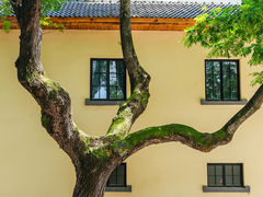 -鸡鸣寺