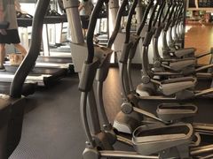 -金吉鸟健身游泳