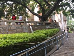 -鼓浪屿钢琴博物馆