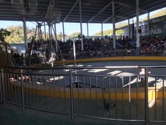 -泉州海丝野生动物世界