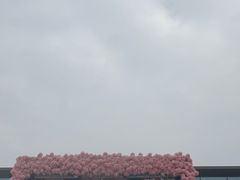 -兴芮温泉度假区