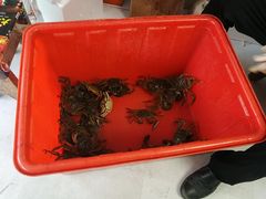 -阳澄湖大闸蟹·琼灵阁牌品牌连锁(吴中总店)
