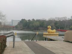 -青枫公园