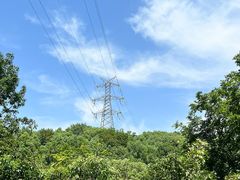 -西湖风景区-江洋畈生态公园