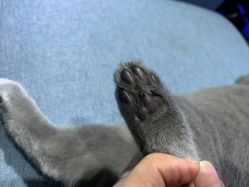 -BBVR团建聚会体验馆·亲子DIY手工