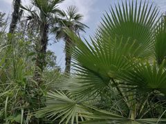 -桤木河湿地公园