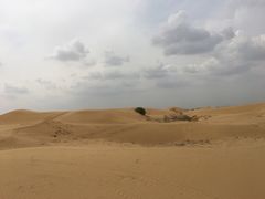 -银肯塔拉沙漠生态旅游景区