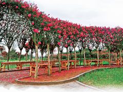 -武汉紫薇都市田园