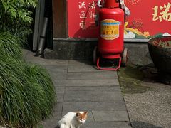 -韬光茶庵