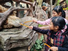 -长鹿旅游休博园