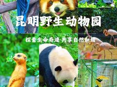 -云南野生动物园