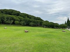 -苏州上方山国家森林公园