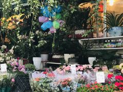-曲阳花鸟市场(曲阳路店)