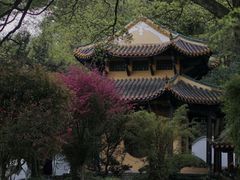 -岳麓山风景名胜区