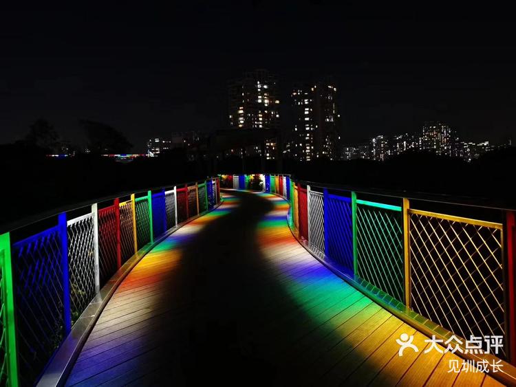 香蜜公园的夜色