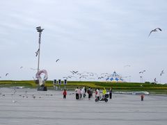 -东港音乐喷泉广场