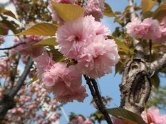 -东钱湖小普陀景区