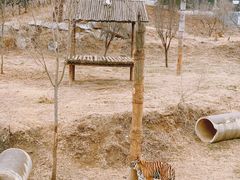 -济南野生动物世界