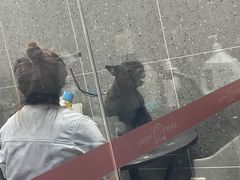 -宠物家(大兴旧宫店)