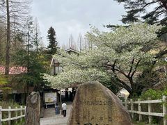 -神户市立六甲山牧场