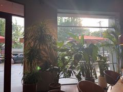 -Wagas沃歌斯(枫蓝国际店)