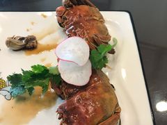 -呼吸森林·生态农庄农家乐私房菜