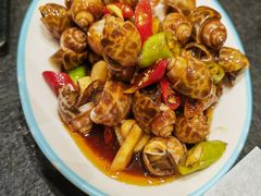 生腌花螺-晓波烧烤(南桥店)