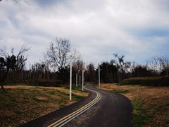 -白鹭湾湿地公园