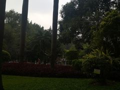 -晓港公园
