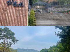 -银湖山郊野公园-相思林